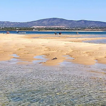 Casa Do Beco, Confortável, Em Bairro Típico De * Olhão